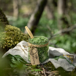 Karu­lau­gu­sool,&nbsp;web